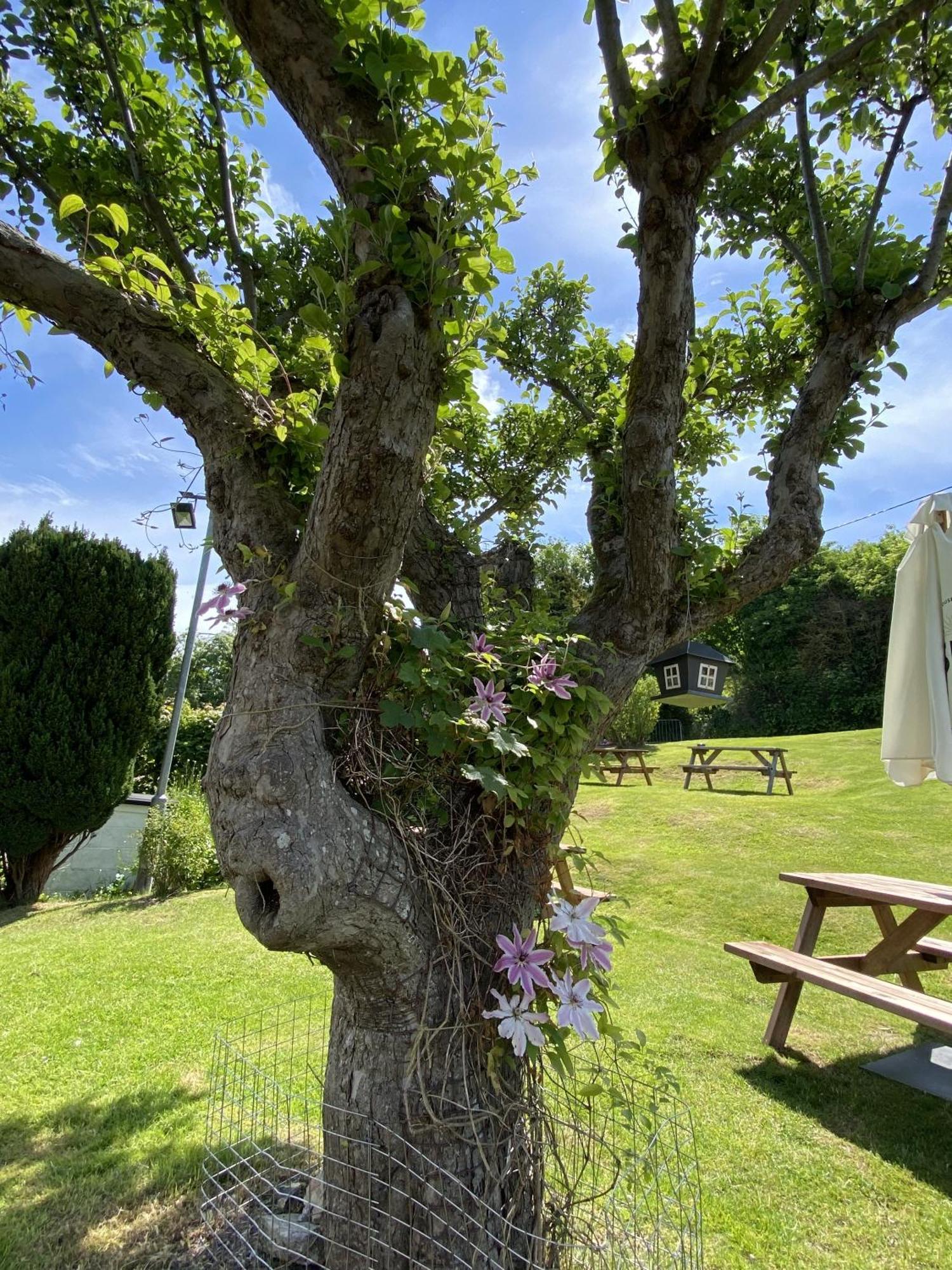 Bed and Breakfast The Lydden Bell Esterno foto